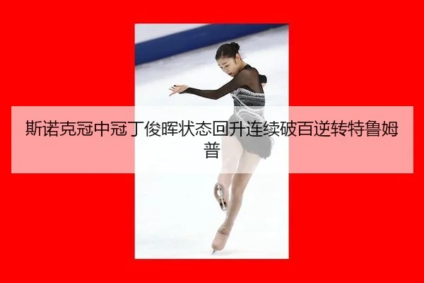 si-nuo-ke-guan-zhong-guan-ding-jun-hui-zhuang-tai-hui-sheng-lian-xu-po-bai-ni-zhuan-te-lu-mu-pu-2-943.jpg